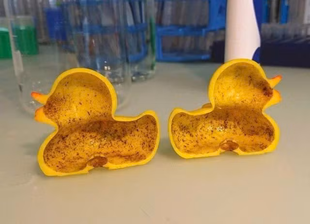 Trẻ dễ mắc cảm lạnh 7–8 lần mỗi năm do vi khuẩn bám vào đồ chơi. Vệ sinh đồ chơi hàng tháng bằng xà phòng, nước ấm hoặc phơi nắng để diệt khuẩn và tránh ẩm mốc. Ảnh minh họa