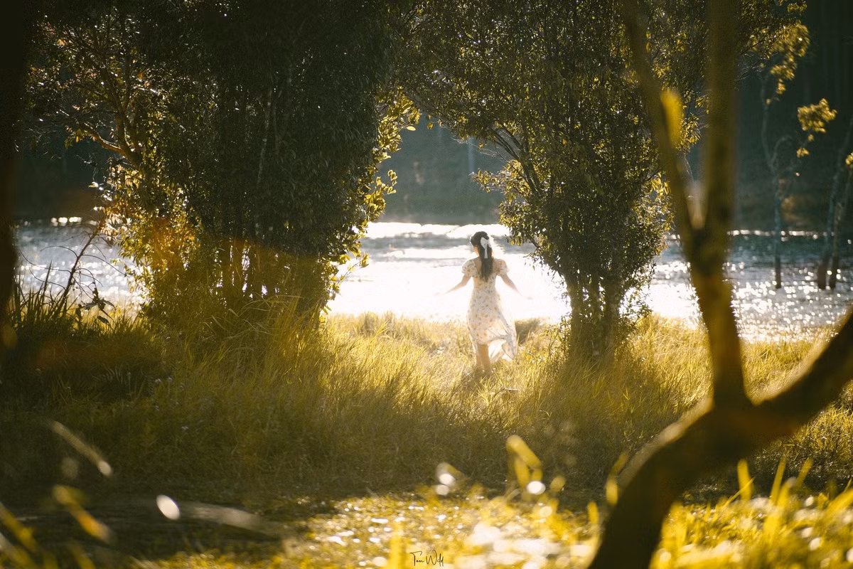 Vào những buổi sáng sớm, khi màn sương chưa kịp tan, khung cảnh nơi đây hiện lên đầy chất thơ: mặt nước phẳng lặng như gương, thuyền độc mộc nhẹ lướt qua làn sương, vài bóng ngư phủ giăng lưới tạo nên bức tranh thủy mặc sống động. Những hàng cây ven bờ in bóng xuống mặt suối, đung đưa nhẹ theo làn gió khiến cả không gian như trôi vào giấc mộng. Ảnh Tom Wild