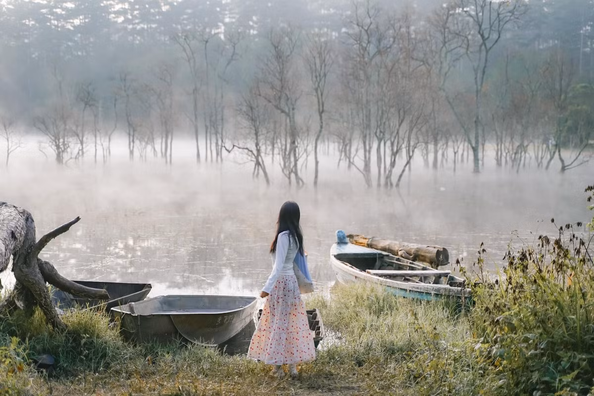 Với những ai đã từng chinh phục các điểm check-in nổi tiếng tại Đà Lạt như đồi Thiên Phúc Đức, cây thông cô đơn hay đỉnh Pinhatt, thì Suối Tía sẽ là một lựa chọn mới đầy thú vị. Không ồn ào náo nhiệt, không hàng quán chen chúc, nơi đây chỉ có nước, sương và rừng – đủ để níu bước chân những ai yêu thiên nhiên và sự tĩnh lặng. Ảnh Tom Wild