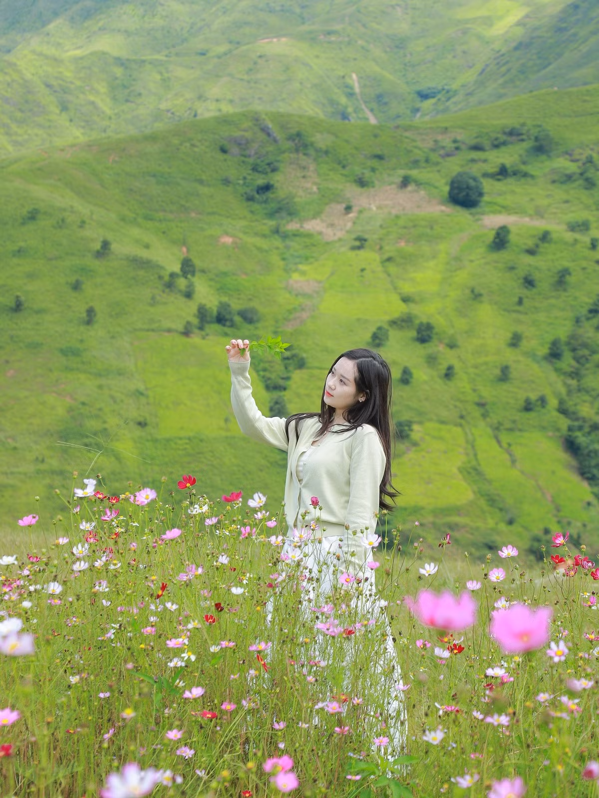 Ruộng bậc thang Xím Vàng mùa lúa chín, tiệm cà phê Hoàng Hôn ở Khe Cải hay Hiên cà phê trên Đỉnh Gió đều là những gợi ý không thể bỏ qua. Thị trấn nhỏ này đang trở thành điểm dừng chân thu hút các nhóm trẻ và gia đình yêu thiên nhiên. Ảnh Đi trốn không