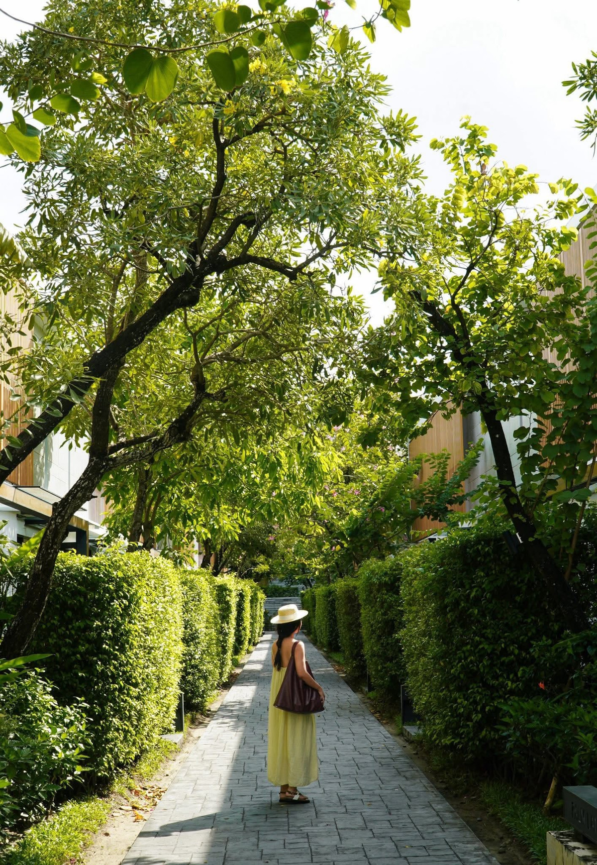 Hiện nay, máy bay là phương tiện phổ biến và thuận tiện nhất để đến Phú Quốc. Các chặng bay từ Hà Nội và TP HCM có tần suất cao, giúp du khách linh hoạt lựa chọn thời gian khởi hành.