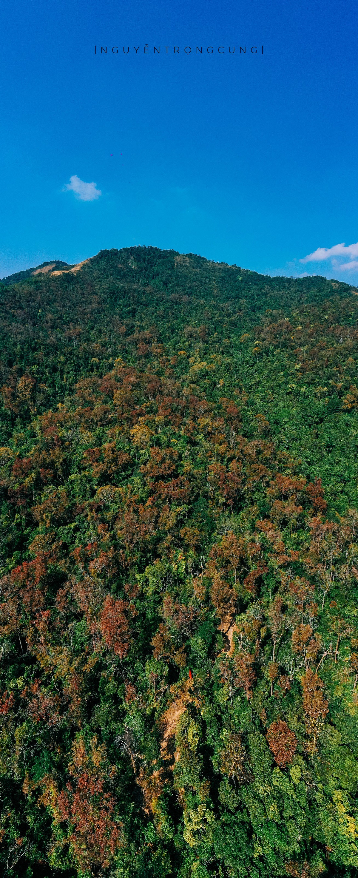 Thời điểm đẹp nhất để ngắm rừng phong hương thường rơi vào khoảng đầu tháng 12 âm lịch (tháng Chạp). Mùa lá chỉ kéo dài vài tuần, nhưng đủ để tạo nên “cơn sốt” check-in với những người yêu thiên nhiên và nhiếp ảnh.