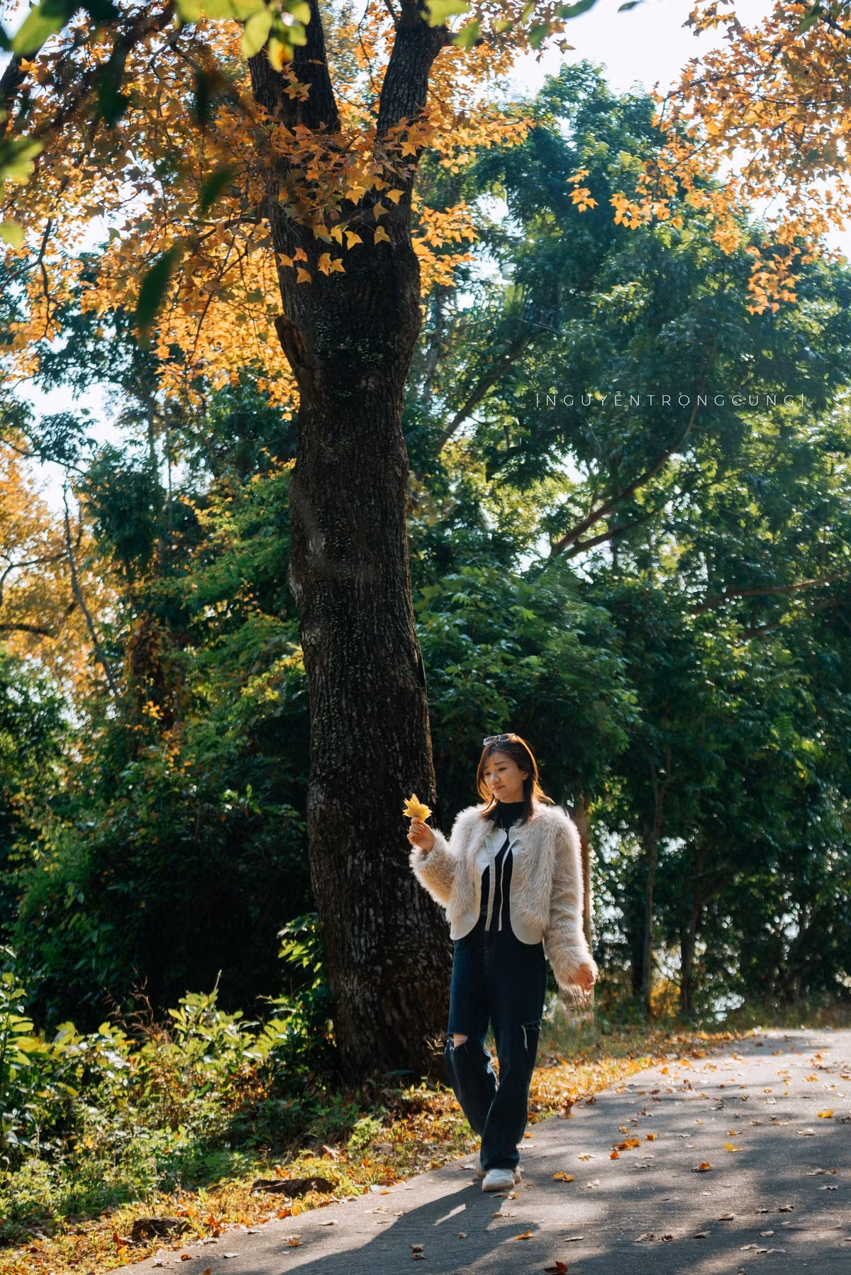 Sự kết hợp hài hòa giữa không gian tâm linh và cảnh sắc thiên nhiên mang đến cảm giác bình yên, tĩnh tại – điều mà nhiều du khách tìm kiếm trong những ngày cuối năm.