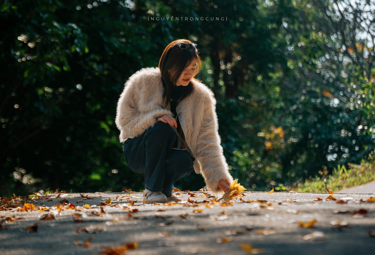 Trước lượng du khách tăng cao trong mùa lá đẹp, nhà chùa và chính quyền địa phương khuyến cáo người dân và du khách giữ gìn vệ sinh môi trường, không bẻ cành, hái lá, không xả rác bừa bãi trong khu vực rừng và khuôn viên chùa. Việc tham quan, chụp ảnh cần đi kèm với ý thức bảo vệ cảnh quan tự nhiên và tôn trọng không gian tâm linh.