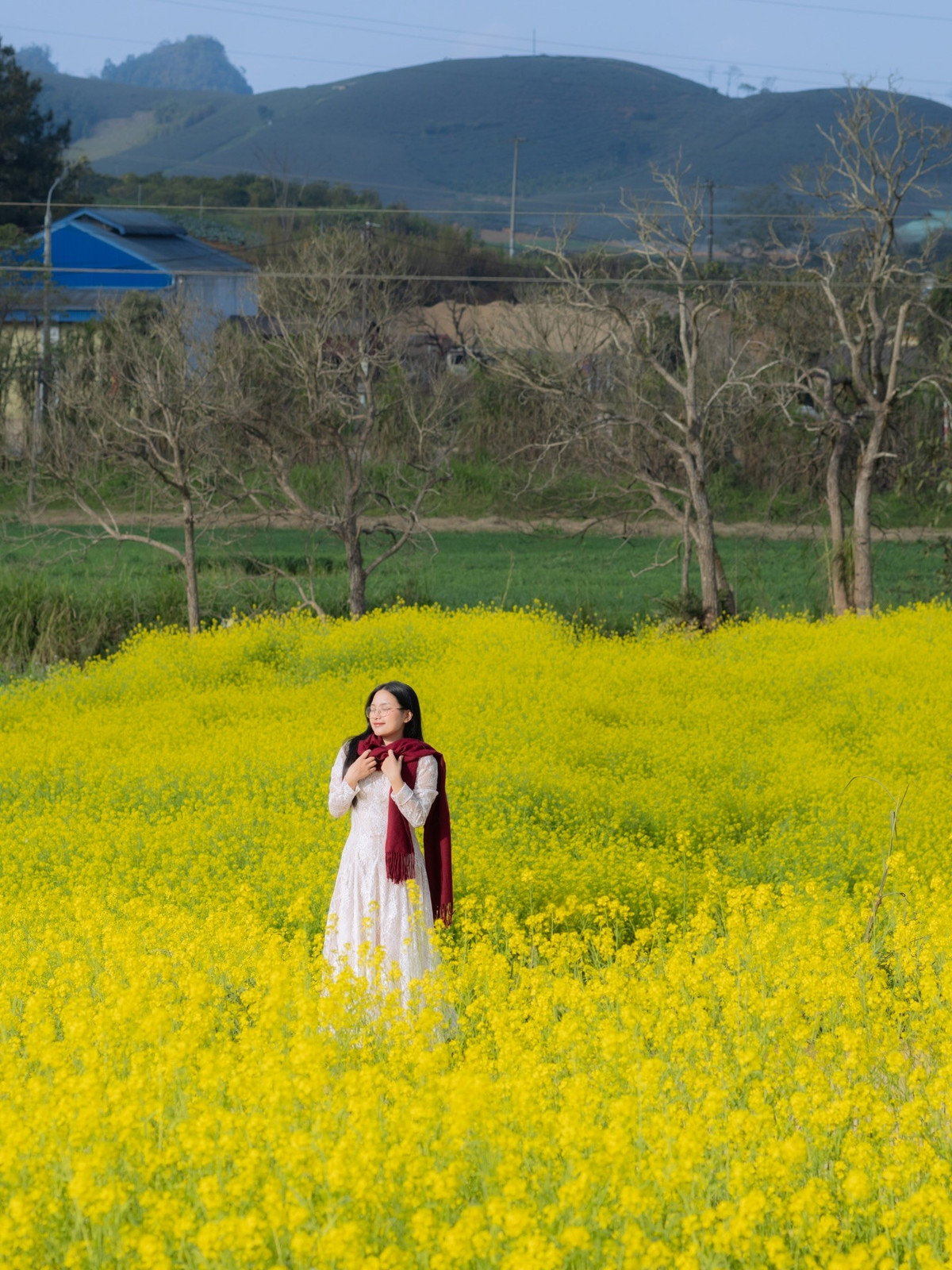 Khu vườn mở cửa đón khách từ 7h sáng mỗi ngày, giá vé tham quan 40.000 đồng/người, không giới hạn thời gian trải nghiệm. Theo đại diện nông trại, vào những tuần cao điểm, nơi đây đón hàng nghìn lượt khách đến tham quan, chụp ảnh. Ảnh Fanpage Đi trốn không