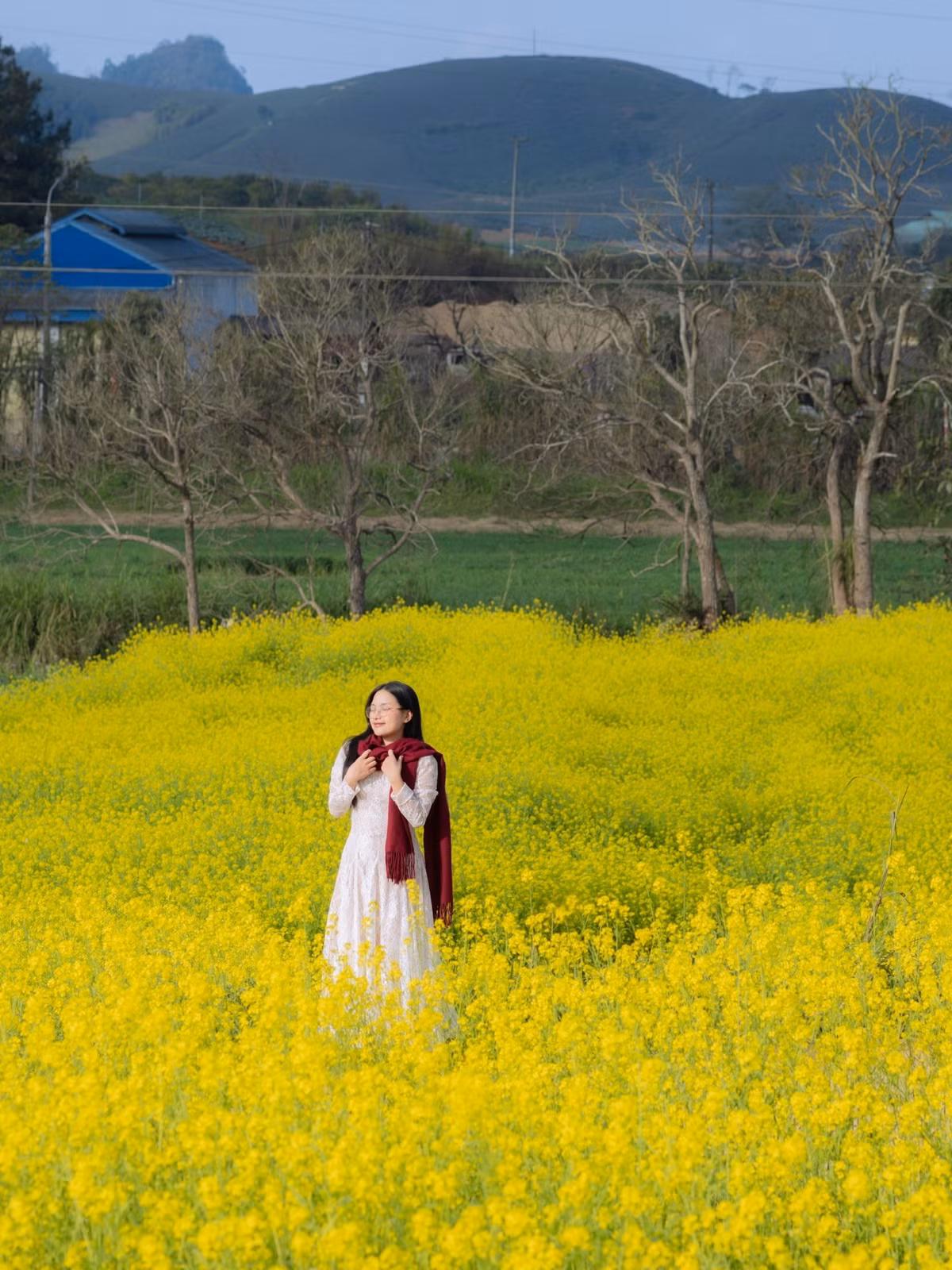 Khu vườn mở cửa đón khách từ 7h sáng mỗi ngày, giá vé tham quan 40.000 đồng/người, không giới hạn thời gian trải nghiệm. Theo đại diện nông trại, vào những tuần cao điểm, nơi đây đón hàng nghìn lượt khách đến tham quan, chụp ảnh. Ảnh Fanpage Đi trốn không