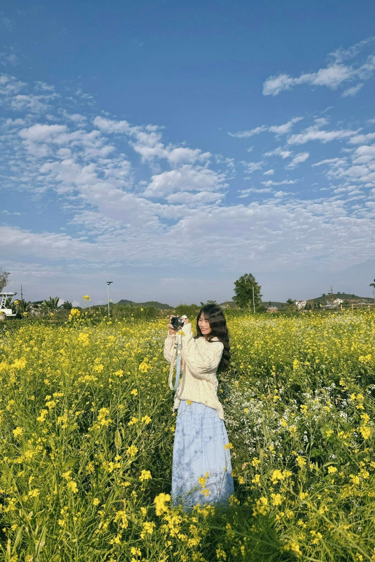 Để có chuyến đi trọn vẹn, nhiều du khách lựa chọn hình thức đi tour trọn gói thay vì tự túc. Khảo sát trên thị trường du lịch cho thấy, các công ty lữ hành hiện nay đã xây dựng nhiều chương trình tour Mộc Châu chuyên biệt cho mùa hoa cải, với lịch trình và mức giá khá đa dạng. Ảnh Anh Thơ