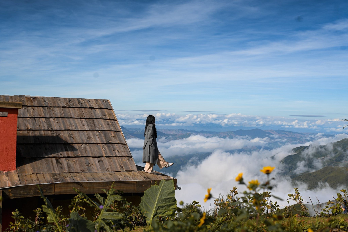 Địa điểm này cách UBND xã Tà Xùa hơn 2 km đường đèo. Từ Ủy ban xã, du khách theo con đường nhỏ rồi rẽ ở khu vực cây xăng Tà Xùa để lên tới khu đồi cao của bản Khe Cải. Ảnh Tiệm cà phê Hoàng Hôn-Khe Cải Tà Xùa