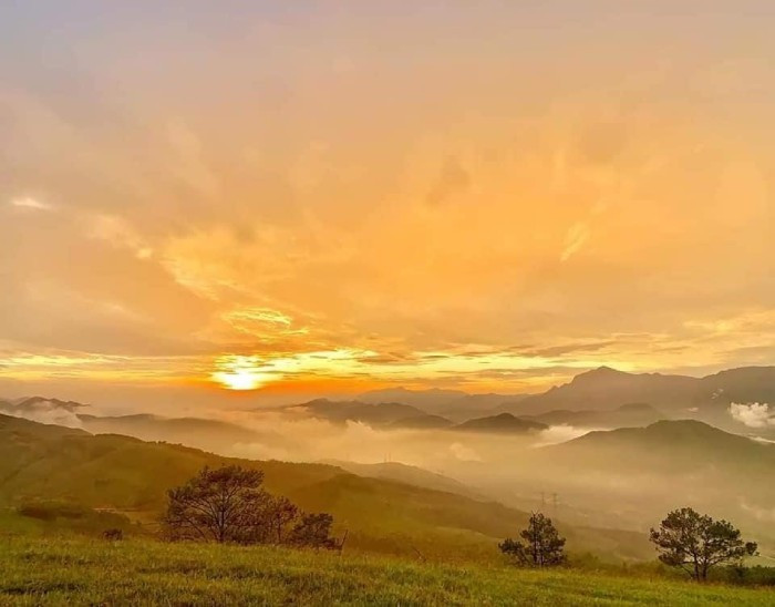 Perjalanan dari kaki gunung ke puncak Binh Huong agak mudah, mengambil masa kira-kira 30-40 minit berjalan kaki. Pengembara yang berpengalaman boleh memendekkan perjalanan dengan ketara dengan menggunakan motosikal atau kenderaan khusus; bagaimanapun, langkah berjaga-jaga keselamatan adalah perlu, terutamanya pada hari berkabus atau ketika jalan licin. (Foto: Fb Binh Huong Meadow)