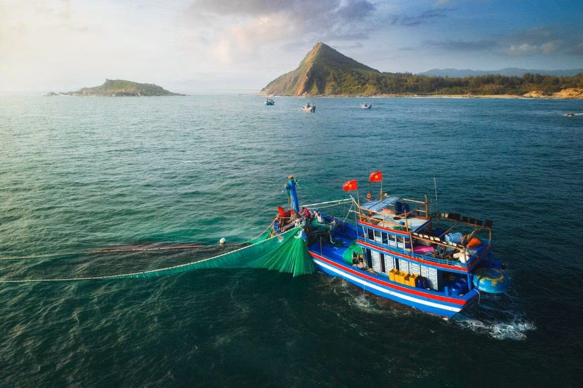 Đặc sản nổi bật ở đây là cá chình, ghẹ, mực nang và cá thu. Nhiều du khách truyền tai nhau món mực hấp gừng chấm nước mắm gừng địa phương – món ăn tưởng đơn giản nhưng đậm đà vị biển cả. Một số hộ dân còn nhận chế biến theo yêu cầu và phục vụ tại nhà, đem lại trải nghiệm thân thiện, gần gũi. Ảnh Quan Nguyễn