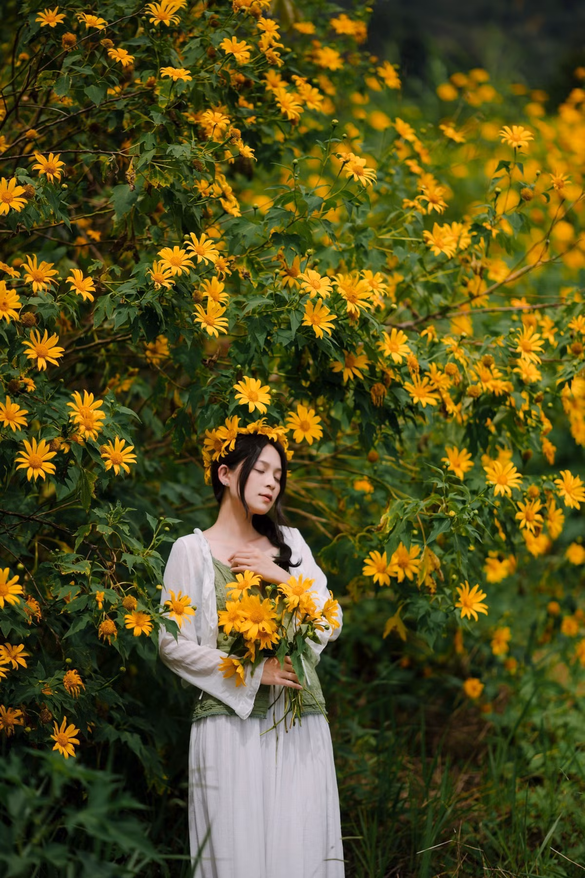 Ngoài ra, VietTourist giới thiệu chương trình “Đà Lạt Mùa Hoa Dã Quỳ 3 ngày 2 đêm”, kết hợp săn hoa với tham quan Đồi chè Cầu Đất, Hồ Tuyền Lâm và các điểm đặc trưng của phố núi. Giá tour từ 2,95 triệu đồng/người, bao gồm khách sạn, xe du lịch, hướng dẫn viên và một số bữa ăn. Ảnh Quangdalat