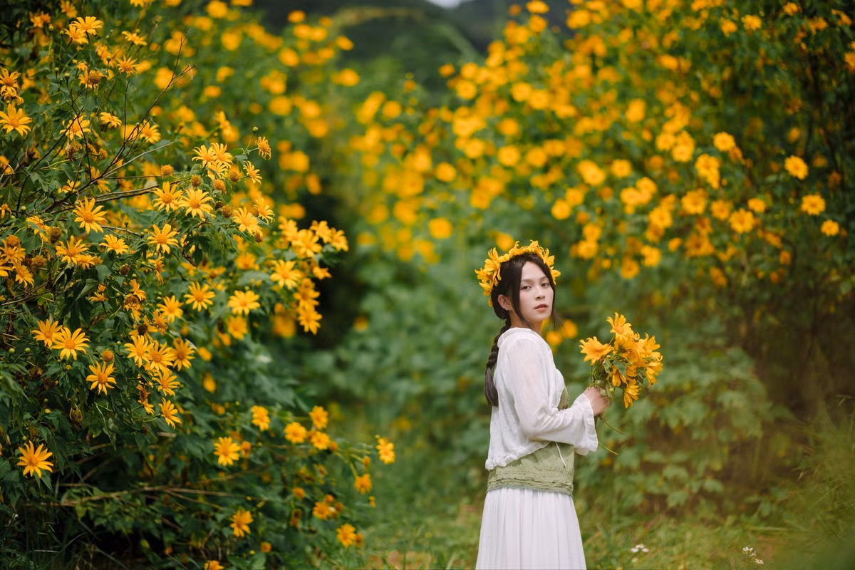 Nếu đến vào buổi chiều, du khách còn có thể ngắm hoàng hôn buông xuống trên triền hoa, sắc vàng pha cùng ánh đỏ tạo nên khung cảnh huyền ảo rất riêng của cao nguyên. Ảnh Quangdalat