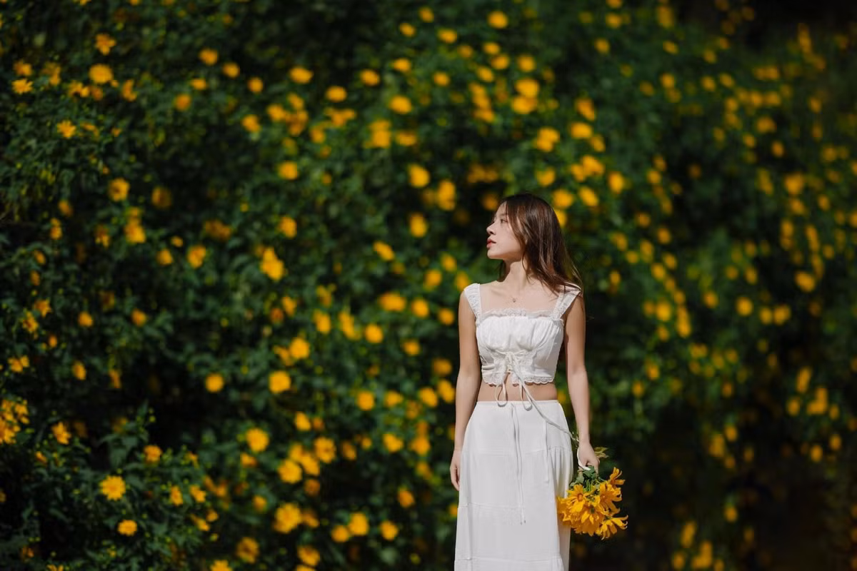 Mùa hoa dã quỳ không chỉ là thời điểm Đà Lạt rực rỡ nhất trong năm mà còn là dịp để du khách cảm nhận nhịp sống chậm rãi, trong trẻo của phố núi. Dạo bước giữa những cung đường vàng rực, hít hà không khí trong lành và lưu lại những bức ảnh đầy nắng sẽ là trải nghiệm khó quên cho bất kỳ ai ghé Đà Lạt vào mùa hoa này. Ảnh Nguyễn Văn Nam