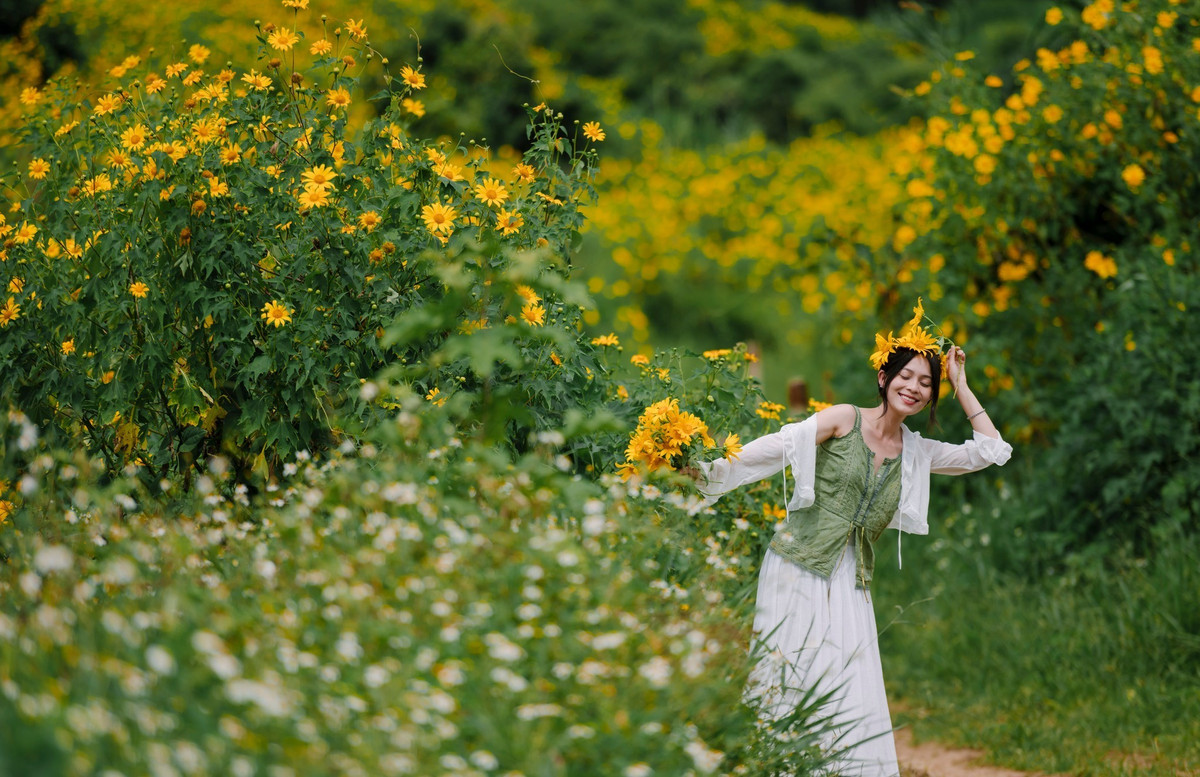 Thời điểm ngắm hoa đẹp nhất là buổi sáng, từ 8 đến 10 giờ. Khi nắng ban mai còn dịu, sương sớm vẫn đọng trên cánh hoa, dã quỳ trở nên rực rỡ và lên hình lung linh nhất. Ảnh Quangdalat