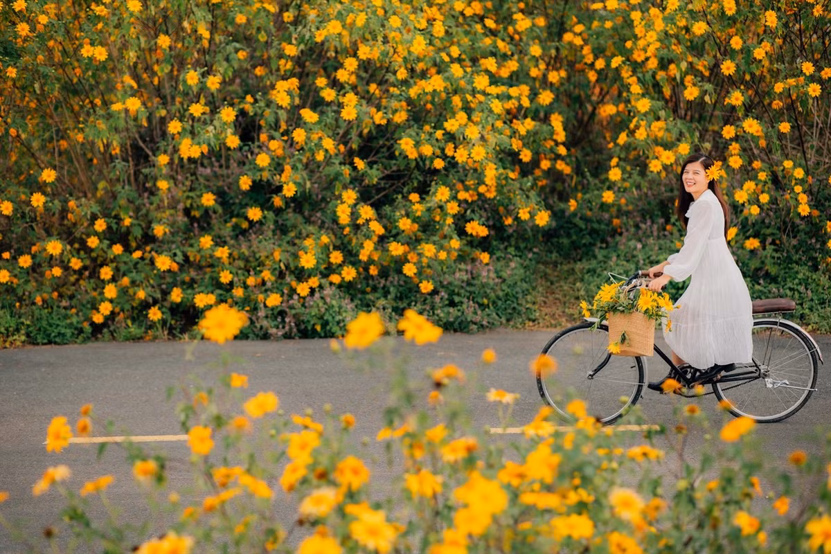 Trong đó, Hướng Tiên Tourist đang khai thác tour “Đà Lạt 1 ngày – Mùa Hoa Dã Quỳ 2025” với hành trình City Tour ngắn gọn, kết hợp khám phá các cung đường hoa, làng hoa và những điểm du lịch nổi tiếng. Giá tour từ 980.000 đồng/người, bao gồm xe đưa đón, hướng dẫn viên và vé tham quan. Ảnh Đồng Ngô