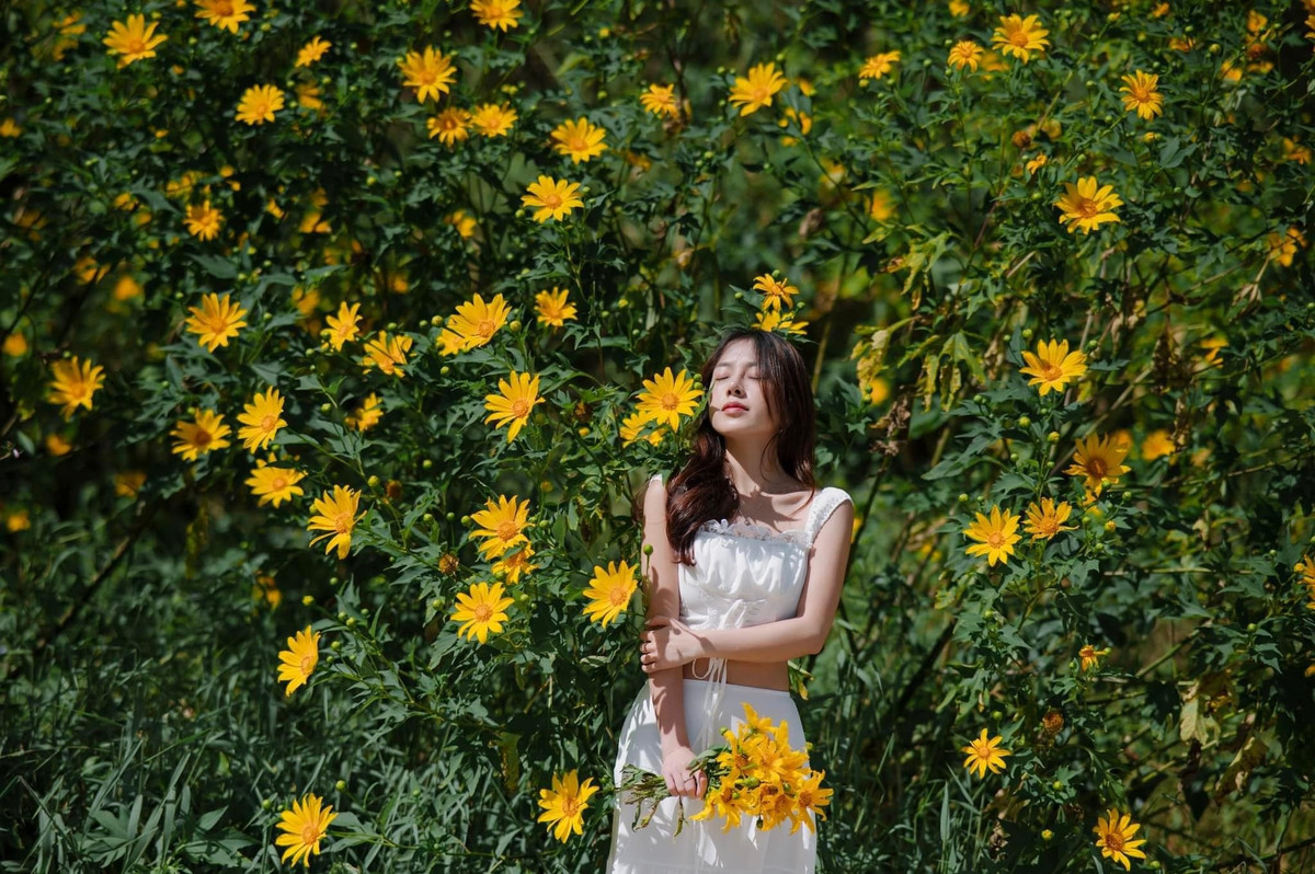 Nhằm giúp du khách tận hưởng trọn vẹn mùa hoa mà không cần tự di chuyển quá nhiều, nhiều công ty lữ hành đã tung ra các tour chuyên đề “săn dã quỳ” trong năm 2025. Ảnh Nguyễn Văn Nam