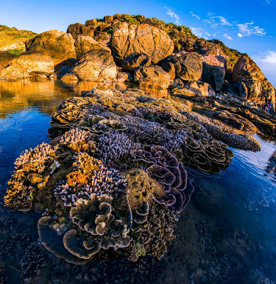 Nhơn Lý (phường Quy Nhơn Đông, TP. Quy Nhơn, Bình Định) vốn nổi tiếng với làng chài yên bình và những bãi biển trong xanh. Ảnh Nguyễn Phan Dũng Nhân