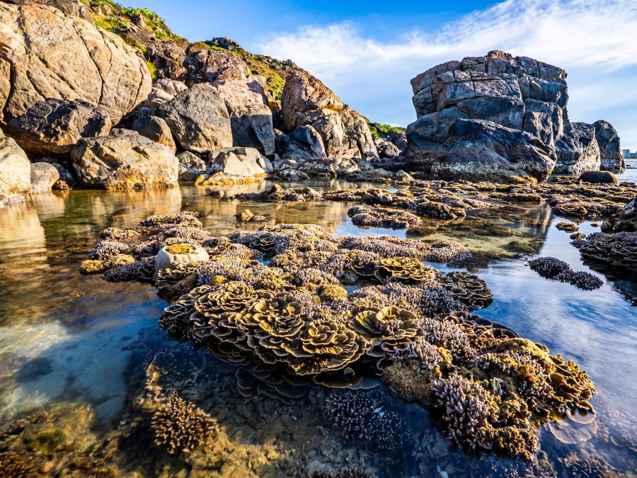 Nhiều người ví nơi này như một “kỳ quan dưới nước” giữa miền biển Quy Nhơn. Ảnh Nguyễn Phan Dũng Nhân