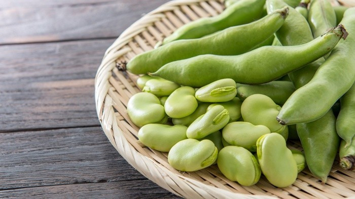 Không dừng lại ở đó, đậu tằm còn chứa vitamin C cùng nhiều vitamin nhóm B như B3 và B9 (folate). Các khoáng chất thiết yếu như sắt, kali, canxi và magie cũng hiện diện với hàm lượng đáng kể, góp phần hỗ trợ tạo máu, duy trì hệ thần kinh và ổn định hoạt động tim mạch. Ảnh minh họa