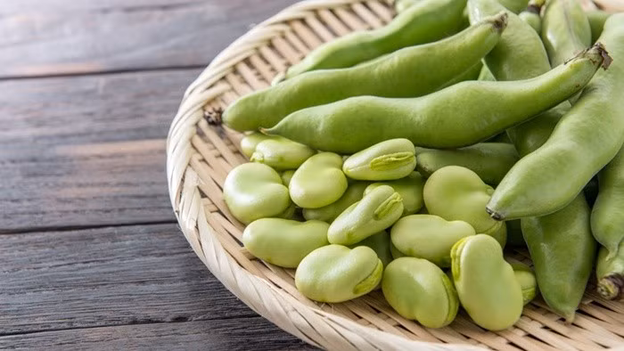 Không dừng lại ở đó, đậu tằm còn chứa vitamin C cùng nhiều vitamin nhóm B như B3 và B9 (folate). Các khoáng chất thiết yếu như sắt, kali, canxi và magie cũng hiện diện với hàm lượng đáng kể, góp phần hỗ trợ tạo máu, duy trì hệ thần kinh và ổn định hoạt động tim mạch. Ảnh minh họa