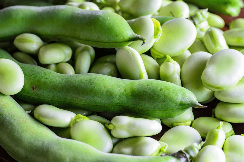 Theo bảng thành phần dinh dưỡng, 100g đậu tằm khô cung cấp khoảng 341 kcal, chứa hơn 26g protein, gần 58g carbohydrate và chỉ khoảng 1,5g chất béo. Đặc biệt, lượng chất xơ trong đậu tằm khá cao, lên tới khoảng 25g/100g, giúp hỗ trợ tiêu hóa và kiểm soát đường huyết. Ảnh minh họa