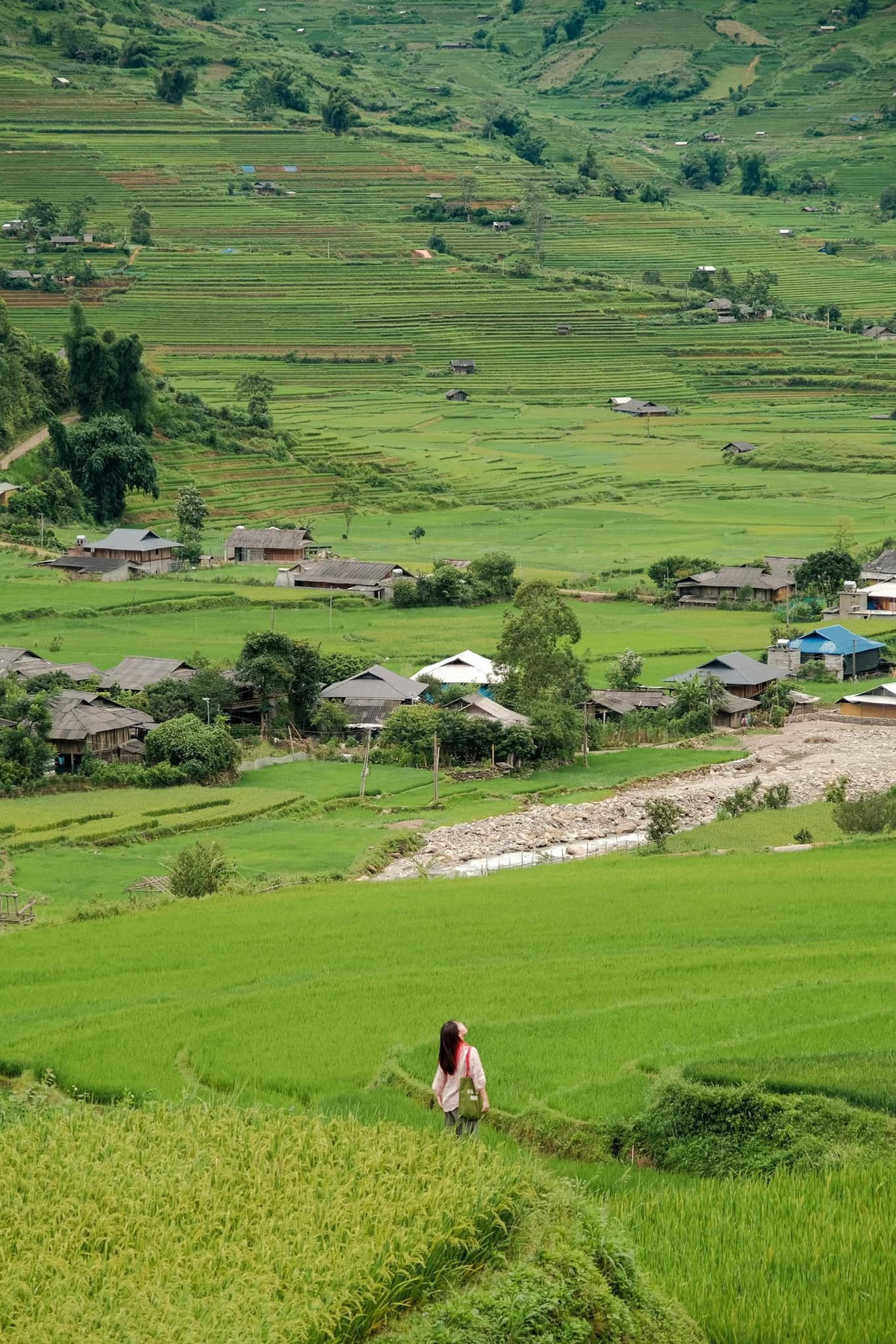 Ngoài ra, đồi Mâm Xôi – biểu tượng du lịch Mù Cang Chải – cũng rất được yêu thích vào mùa này. Dù chưa vào mùa gặt, nhưng đồi Mâm Xôi mùa lúa xanh lại có vẻ dịu dàng, trong trẻo, đặc biệt thích hợp để check-in, chụp ảnh cưới hay nghỉ dưỡng. Ảnh Ba đứa mình