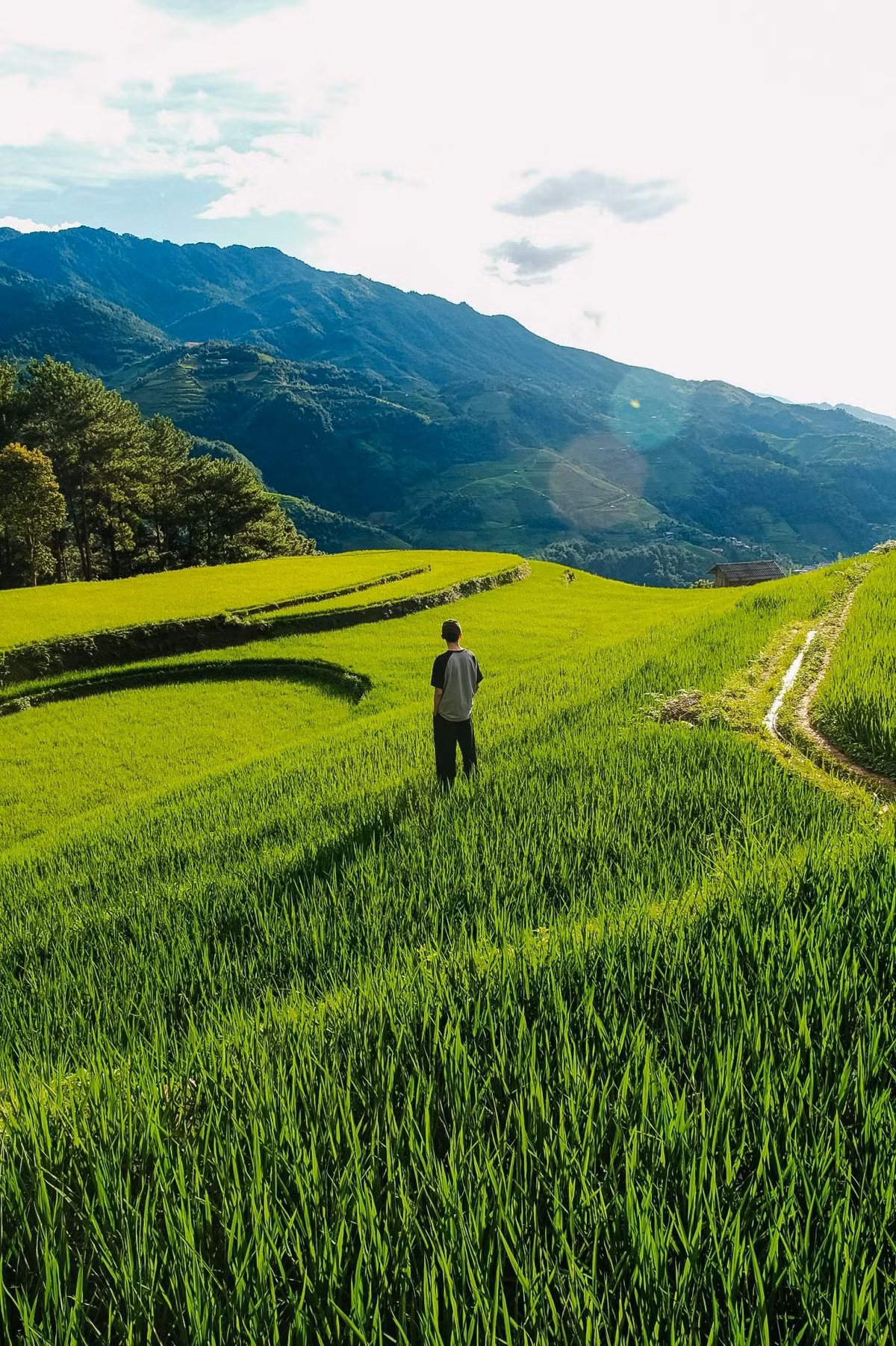 Mù Cang Chải mùa lúa xanh không ồn ào, không rực rỡ như mùa vàng nhưng lại khiến người ta lưu luyến bởi sắc xanh yên bình và sự thân thiện, mộc mạc của người dân bản địa. Đây là lúc đất trời Tây Bắc căng tràn sức sống, dịu dàng và đầy mê hoặc – một vẻ đẹp rất riêng mà chỉ những người yêu xê dịch mới hiểu hết được giá trị. Ảnh Nguyễn Đức Nghĩa