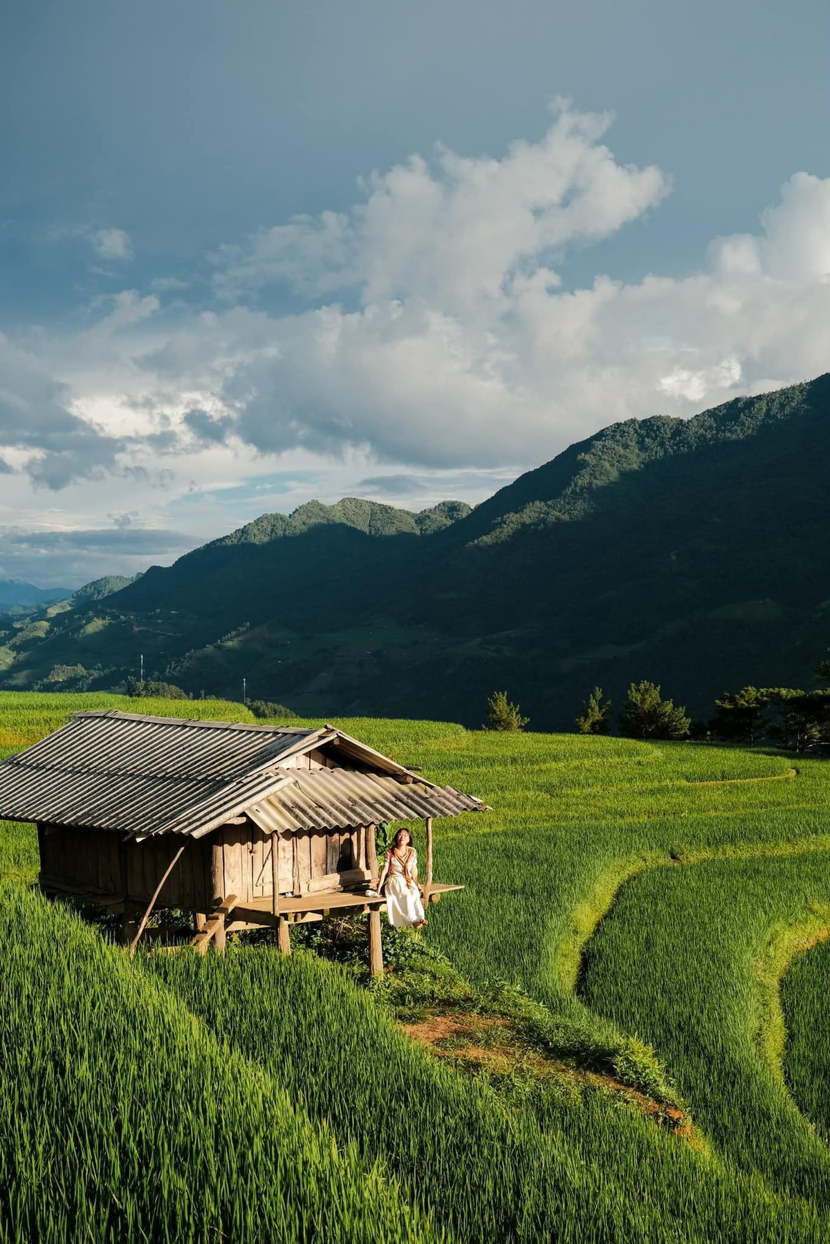 Với những ai thích khám phá, chủ động về thời gian và đã quen di chuyển đường núi, đi tự túc là lựa chọn hợp lý. Xuất phát từ Hà Nội, du khách có thể đi xe khách đến thị trấn Tú Lệ hoặc Nghĩa Lộ, sau đó thuê xe máy để bắt đầu hành trình. Cung đường đèo Khau Phạ nổi tiếng hiểm trở nhưng rất đẹp, đi tự túc sẽ có cơ hội dừng lại ở nhiều điểm check-in, tận hưởng không khí mát lành và cảnh sắc ven đường. Ảnh Ba đứa mình