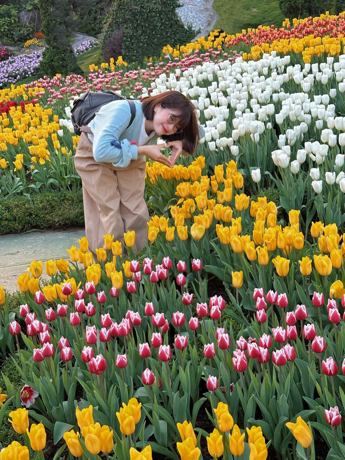 Hoa được trồng dọc lối đi lên khu vực tượng Phật Bà Tây Bổ Đà Sơn và khu vực đối diện ga Vân Sơn. Ảnh Đi cùng Jayni