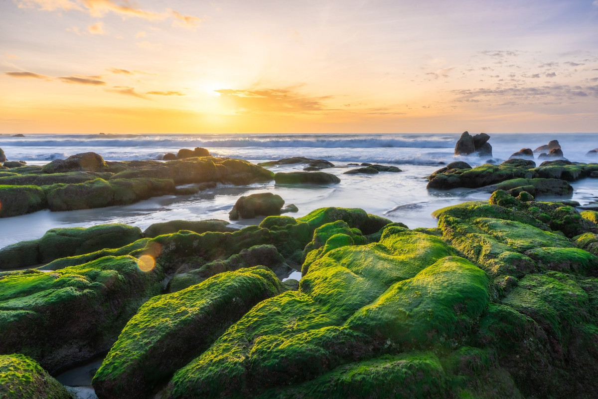 Bầu trời phủ mây mỏng khiến ánh sáng dịu đều, không chói gắt. Biển không khoe sắc xanh rực, nhưng mặt nước êm, sóng nhỏ, vỗ đều vào bờ.