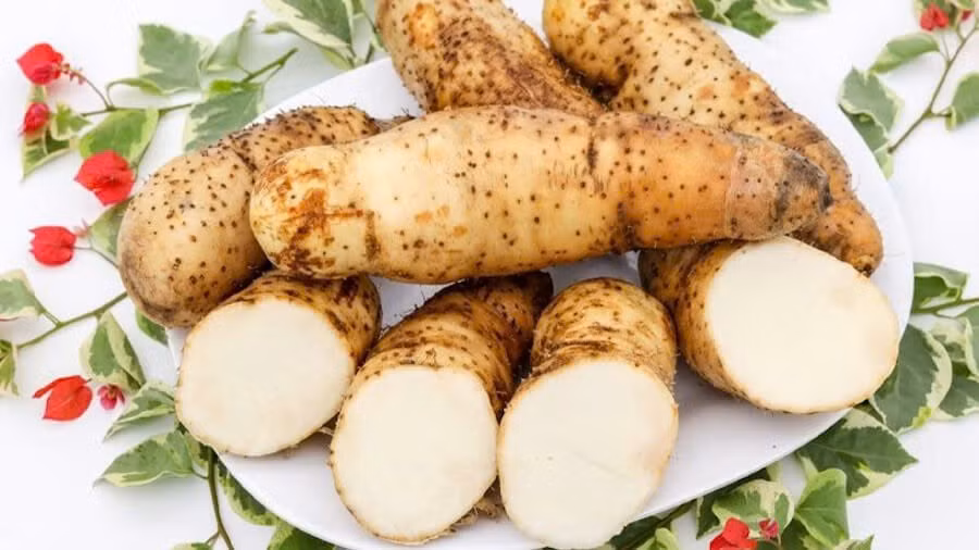 Bí quyết để món canh ngon bắt đầu từ việc chọn nguyên liệu. Củ khoai từ nên chọn những củ còn cứng, tươi, không bị thâm, dập hay nứt. Những củ vừa phải sẽ mềm ngon khi ninh, không bị xơ. Sườn non cũng cần rửa sạch, ngâm qua nước muối để loại bỏ mùi hôi, rồi chặt khúc vừa ăn, ướp thấm gia vị trước khi nấu. Ảnh minh họa