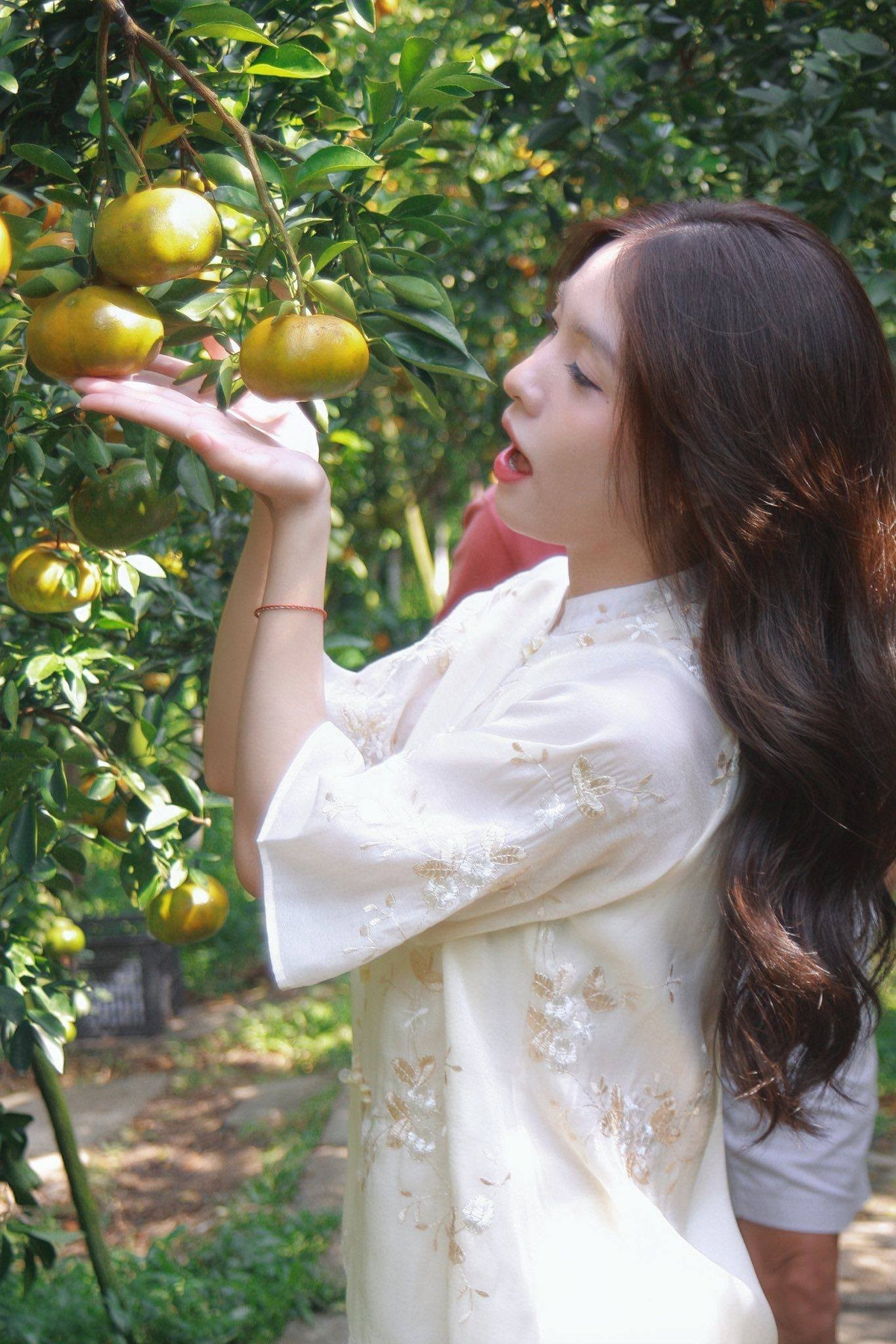 Từ TP HCM, du khách có thể di chuyển bằng ô tô hoặc xe máy theo quốc lộ 1, qua cầu Mỹ Thuận vào tỉnh Vĩnh Long, sau đó tiếp tục theo quốc lộ 80 để đến Lai Vung (Đồng Tháp). Thời gian di chuyển khoảng 3 tiếng, phù hợp cho chuyến đi trong ngày hoặc cuối tuần. Ngoài ra, nhiều tuyến xe khách từ TP HCM đi Đồng Tháp hoạt động hằng ngày, một số nhà xe có dịch vụ đưa đón tận nơi, giúp việc lên kế hoạch du lịch trở nên thuận tiện hơn. Ảnh Trần Ngọc Thiên Di