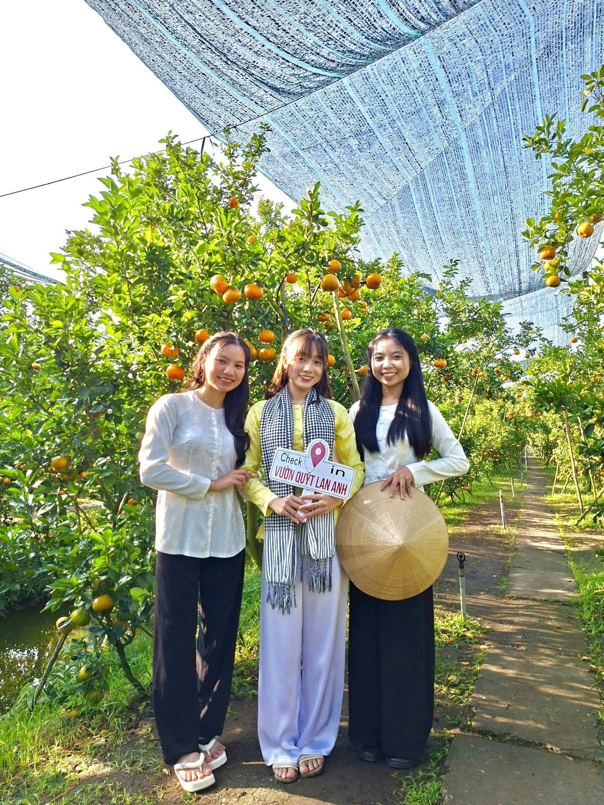 Không chỉ đạt sản lượng tốt phục vụ thị trường Tết, các vườn quýt còn phù hợp khai thác du lịch trải nghiệm. Nhiều nhà vườn chủ động chỉnh trang lối đi, giữ trái trên cành lâu hơn để phục vụ khách tham quan. Ảnh Vườn Quýt Hồng Lan Anh