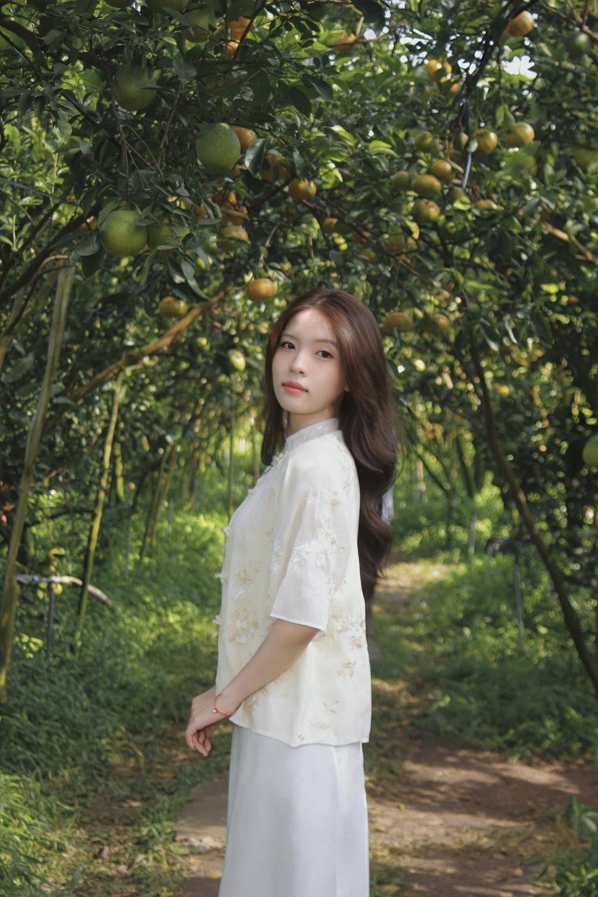 Nếu muốn cảm nhận không khí Tết rõ nét hơn, du khách có thể đến vào dịp Tết Nguyên đán. Khi ấy, các vườn quýt trở nên nhộn nhịp với cảnh thu hoạch, đóng gói trái cây phục vụ thị trường Tết. Ảnh Trần Ngọc Thiên Di