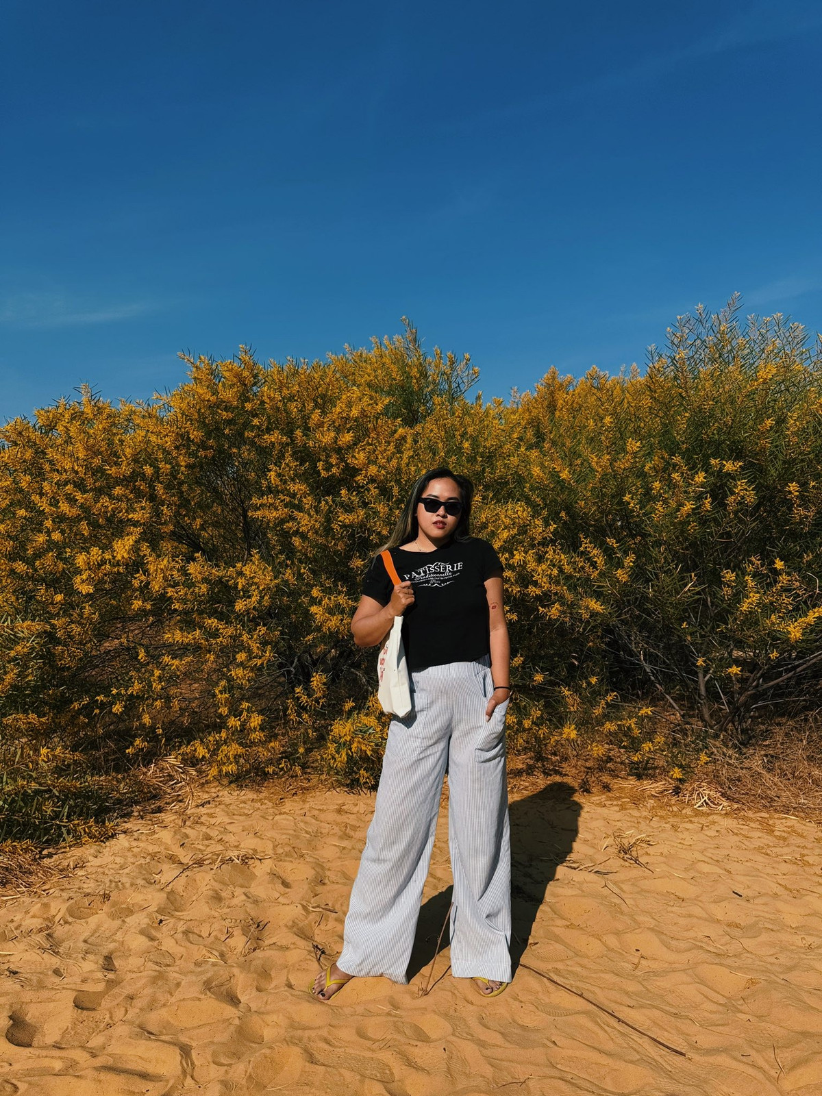 Buổi sáng sớm, từ khoảng 6h30 đến 8h, ánh nắng còn mềm, xuyên qua các chùm hoa tạo hiệu ứng ánh sáng giàu chiều sâu. Chụp ngược sáng vào thời điểm này giúp từng sợi hoa nhỏ bắt nắng, lấp lánh như được phủ lớp ánh kim mỏng. Ảnh Internet