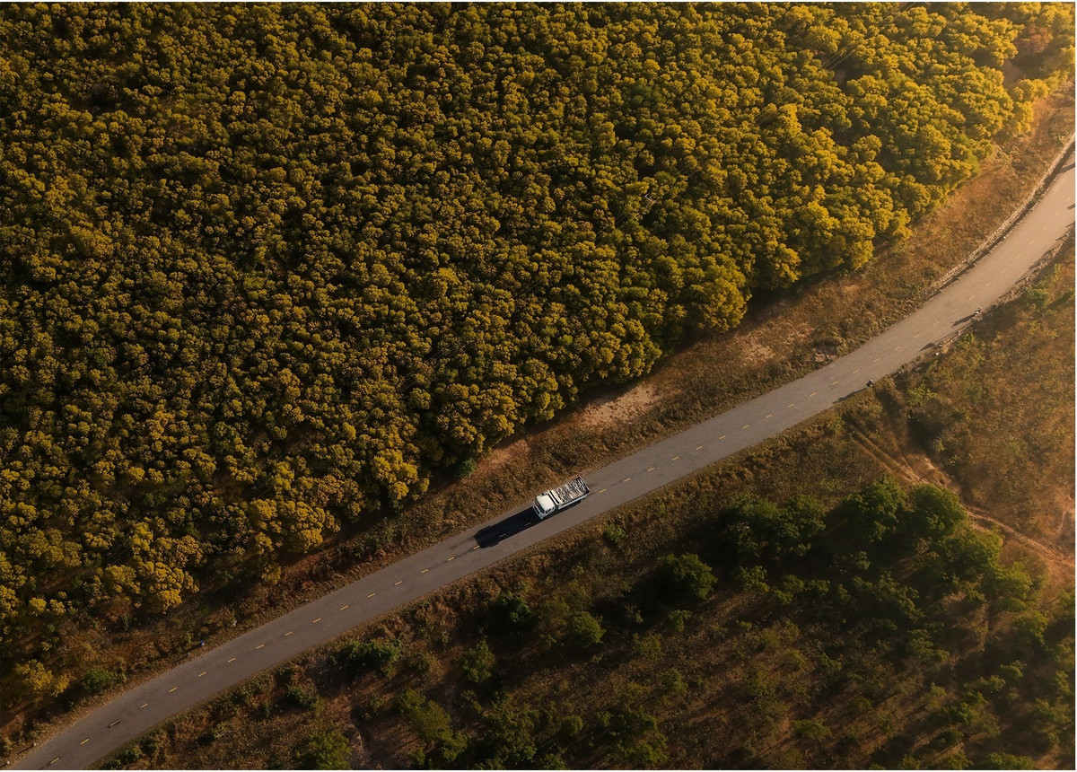 Cuối năm, khi những cơn gió mùa phương Bắc bắt đầu len lỏi về dải đất Nam Trung Bộ, Phan Thiết bước vào một thời khắc rất riêng – dịu nhẹ, trong trẻo và đầy thi vị. Giữa khung cảnh quen thuộc của biển xanh, cát trắng, những cánh rừng keo lá tràm đồng loạt bung nở, nhuộm vàng các cung đường ven biển, trở thành điểm đến “gây sốt” với du khách và giới xê dịch. Ảnh Chí Cảnh