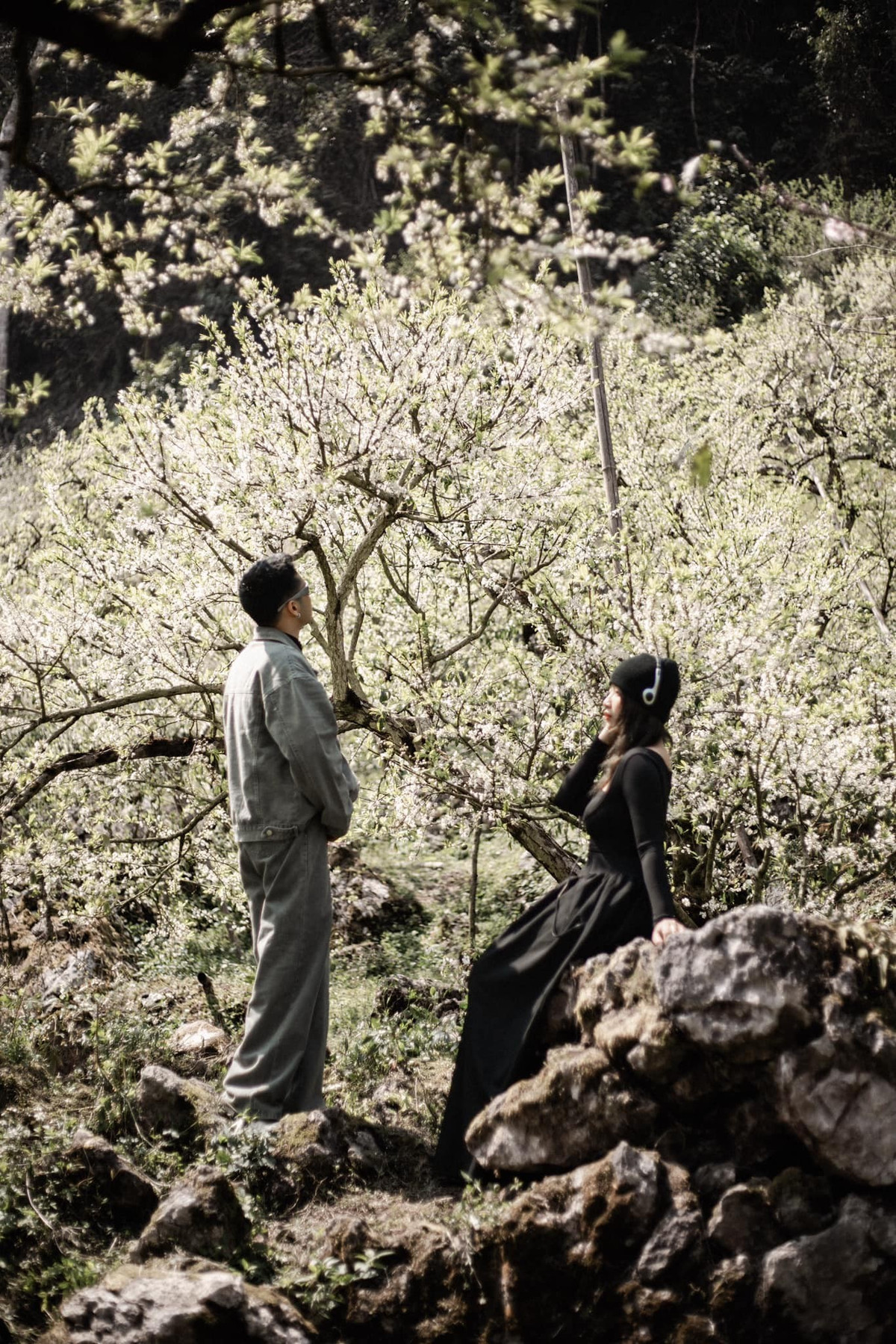 Nhắc đến hoa mận Mộc Châu, thung lũng Nà Ka gần như là cái tên không thể bỏ qua. Nằm cách Nông trường Mộc Châu khoảng 16 km, Nà Ka được xem là “thủ phủ” hoa mận với diện tích trồng lên tới hàng trăm hecta. Ảnh Bùi Huy Khang