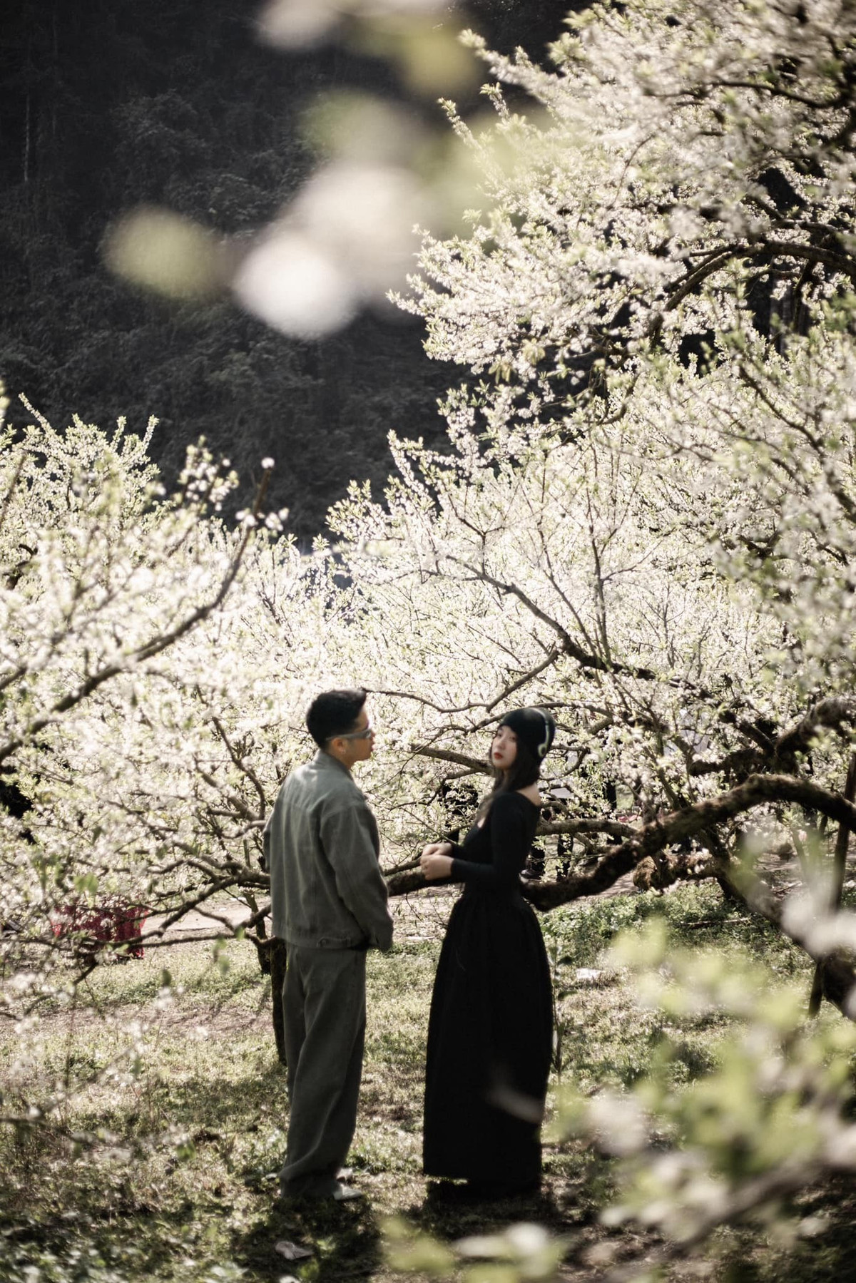 View - 4 tọa độ ngắm hoa mận ở Mộc Châu, chỉ cần giơ máy là có ảnh đẹp | Báo Tri thức và Cuộc sống - TIN TỨC PHỔ BIẾN KIẾN THỨC 24H