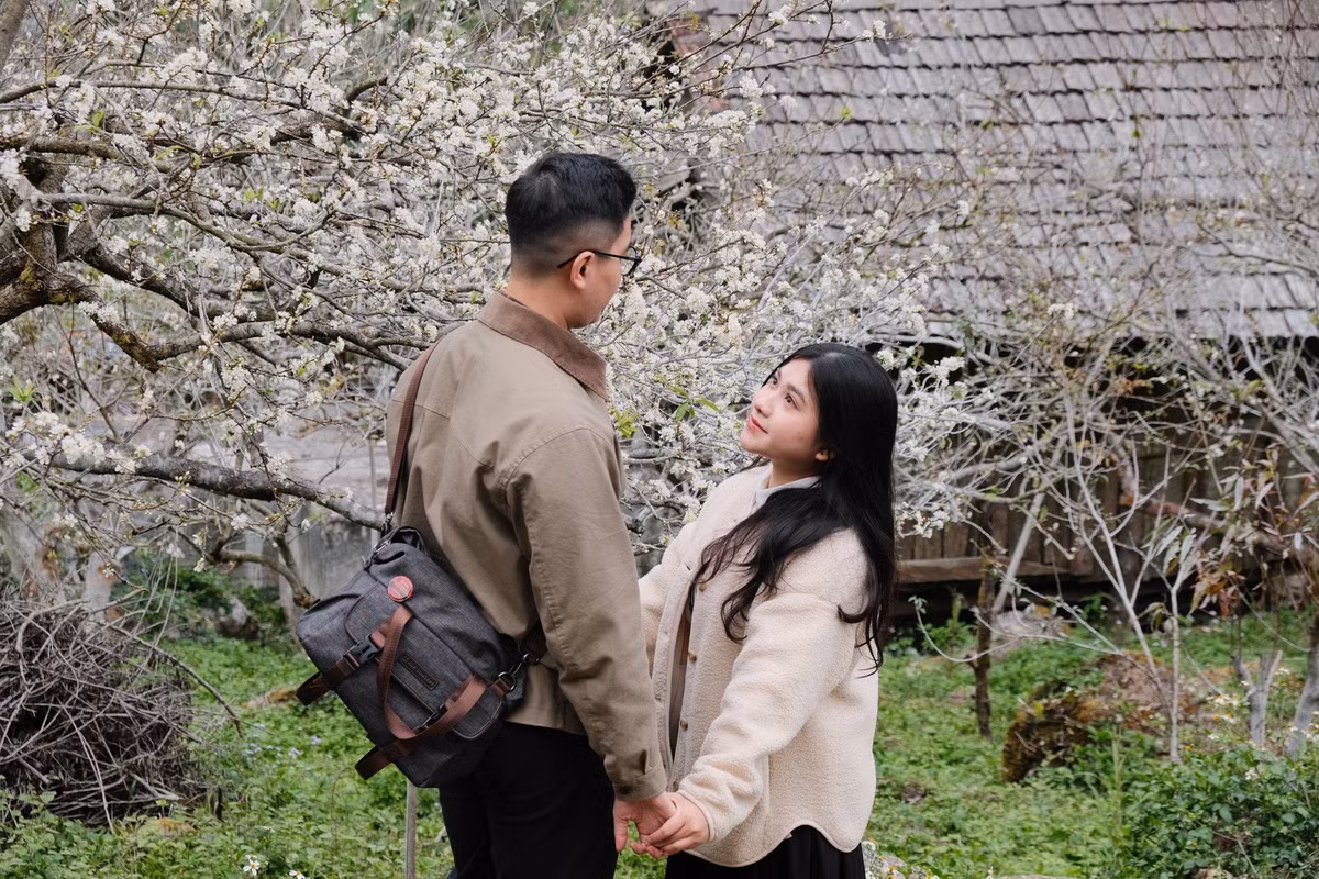 Nằm ở độ cao hơn 1.000 m so với mực nước biển, thung lũng mận Mu Náu gây ấn tượng bởi tầm nhìn rộng và không gian thoáng đãng. Những vườn mận lâu năm đan xen rừng mơ cổ thụ, hoa ban tạo nên bức tranh thiên nhiên nhiều tầng lớp. Ảnh Vũ Đức Minh Hiếu