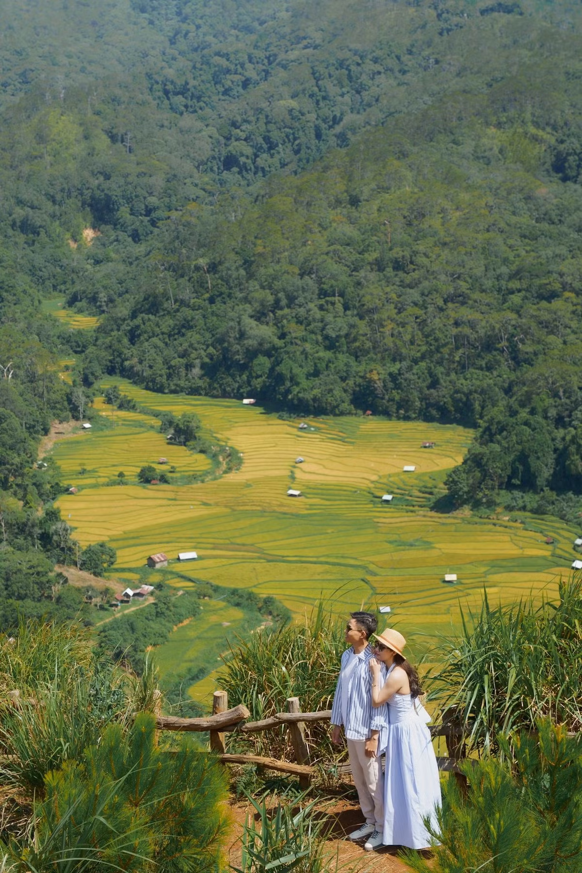 Một trong những điểm nhấn nổi bật tại Kon Tu Rằng là cầu treo bắc qua suối Đắk Bla, nơi lý tưởng để ngắm toàn cảnh ruộng bậc thang từ trên cao. Đây cũng là góc check-in yêu thích của nhiều du khách, với phông nền là núi rừng đại ngàn và những thửa ruộng chín vàng trải dài bất tận. Ảnh Khánh Duy