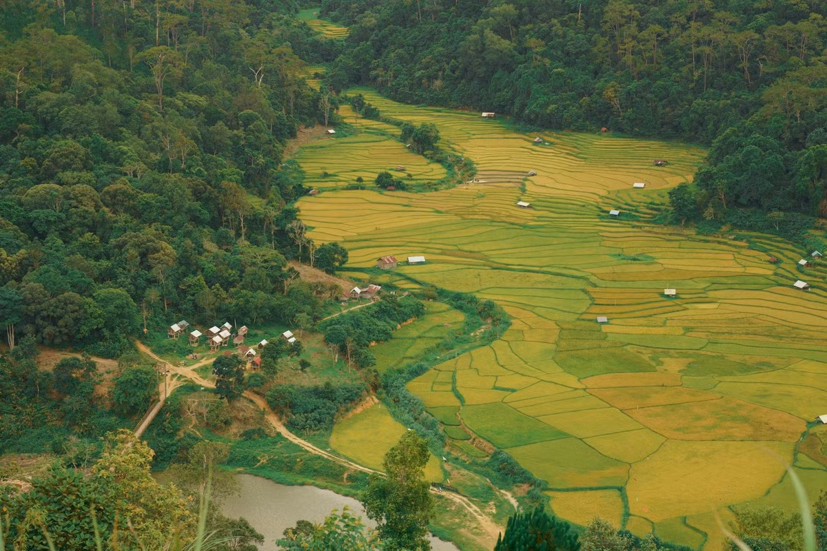 Một lựa chọn khác là tour 4 ngày 3 đêm của Hải Lâm Travel, khởi hành từ TP HCM hoặc Đà Nẵng, đưa du khách nghỉ ngơi tại Măng Đen và khám phá thiên nhiên, văn hóa địa phương. Giá tour cần liên hệ trực tiếp để cập nhật, tuy nhiên lộ trình bao gồm đầy đủ dịch vụ như xe du lịch, lưu trú khách sạn, vé tham quan, hướng dẫn viên và bảo hiểm. Ngoài ra, Anna Hiền Travels cũng cung cấp tour 3 ngày 3 đêm với mức giá từ 3.090.000 - 3.790.000 đồng , đi bằng xe giường nằm và lưu trú tại khách sạn 3 sao, thích hợp cho những ai xuất phát từ TP HCM. Ảnh Măng Đen Chill