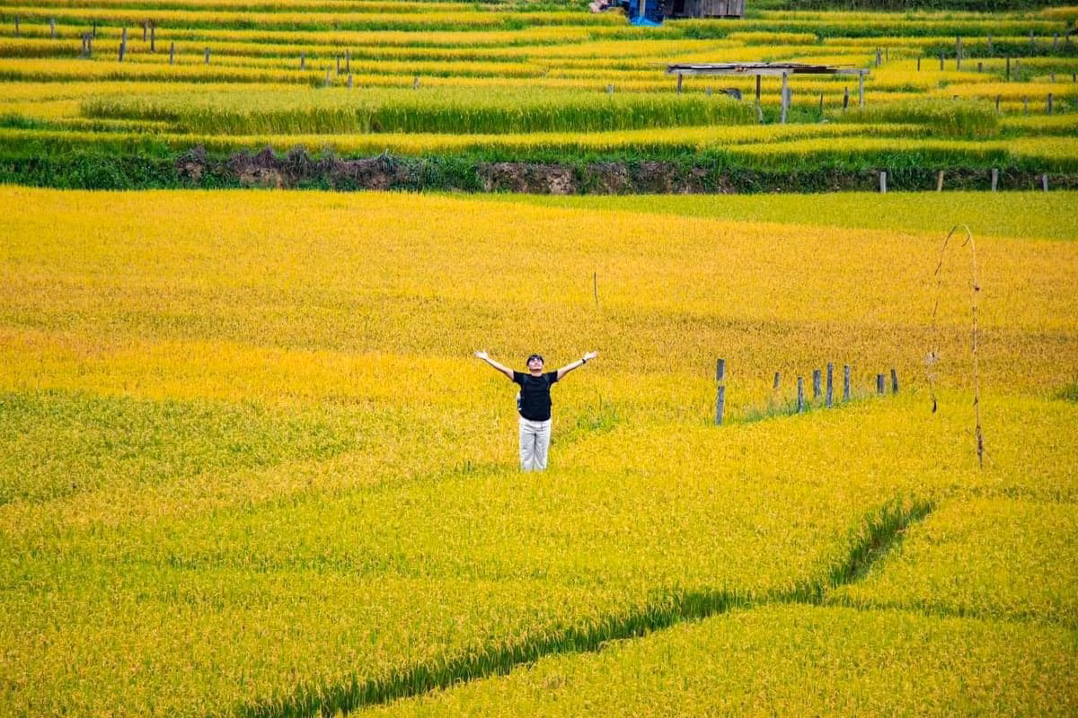 Kon Tu Rằng không chỉ là điểm đến du lịch, mà còn là nơi để con người trở về với thiên nhiên, với nhịp sống chậm rãi và giản dị của đồng bào vùng cao. Hãy thử một lần đến đây vào mùa lúa chín, để thấy đất trời Tây Nguyên cũng có những "mùa vàng" đẹp đến nao lòng. Ảnh Minh Lê