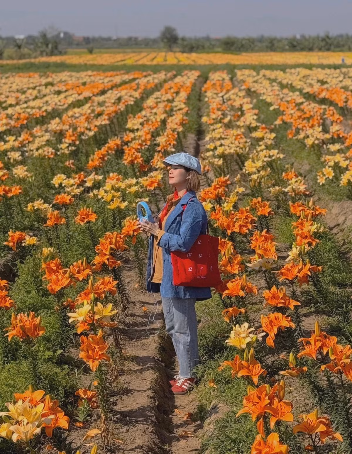 Mùa hoa ly thường kéo dài không quá lâu, chỉ khoảng vài tuần. Chính vì vậy, nếu có ý định ghé thăm, du khách nên tranh thủ đi sớm để không bỏ lỡ thời khắc hoa nở đẹp nhất. Những ngày cuối mùa, hoa bắt đầu tàn dần và không còn giữ được vẻ rực rỡ ban đầu.