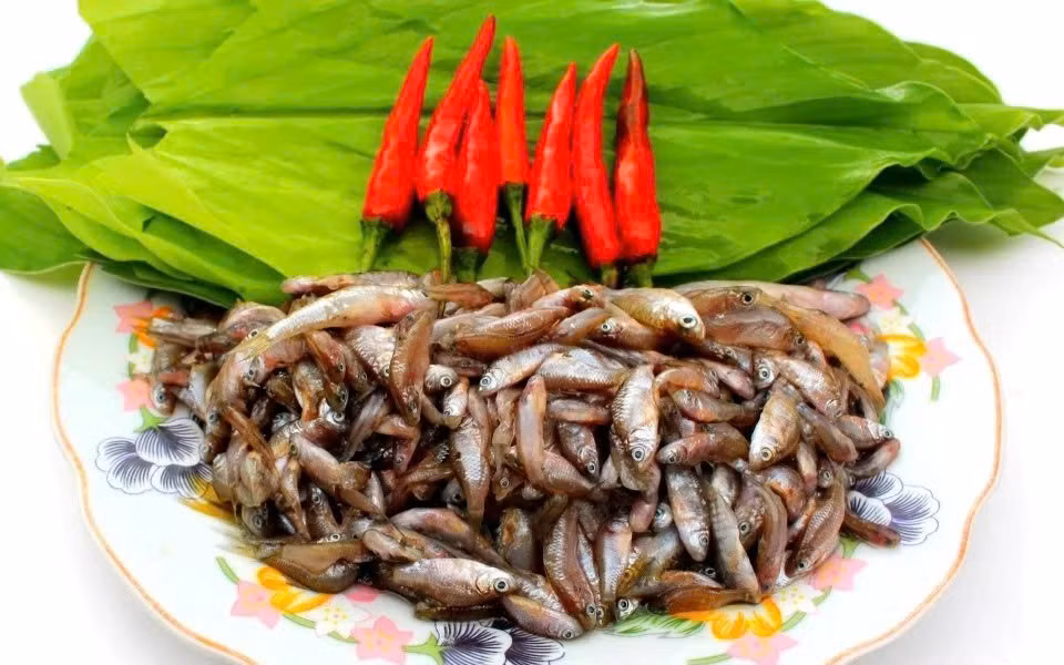 Trước đây, cá rầm khá nhiều nên thường được người dân bắt về làm thức ăn hằng ngày. Tuy nhiên, những năm gần đây lượng cá giảm dần, khiến loài cá nhỏ bé này trở nên hiếm hơn. Ảnh Tiên Sa