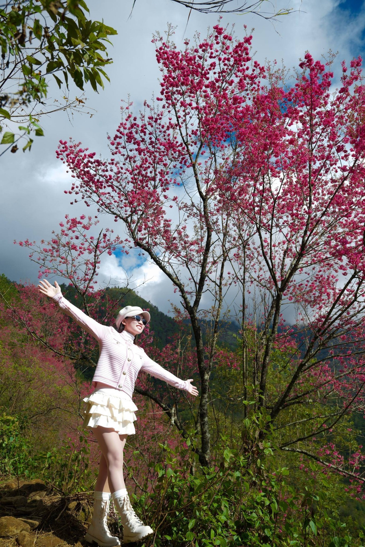 Những cánh rừng tớ dày nay được trân trọng và chăm sóc hơn. Người dân bản địa bắt đầu giữ lại cây cũ, trồng thêm cây mới để duy trì mùa hoa. Từ loài cây mộc mạc nơi núi rừng, tớ dày trở thành “đặc sản” du lịch, góp phần xây dựng hình ảnh Mù Cang Chải đẹp trong mắt du khách gần xa. Ảnh Vua Ăn Mày