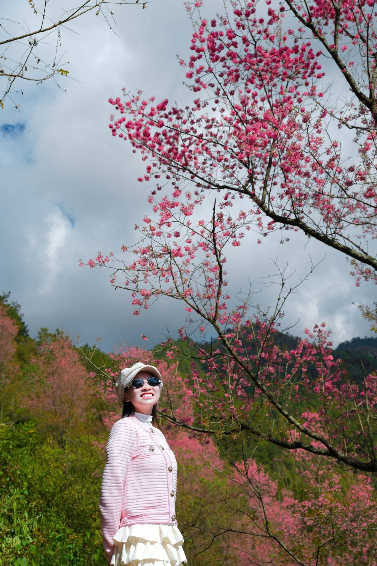 Ít ai biết, trước đây cây tớ dày mọc tự nhiên và thường được người dân tận dụng cho sinh hoạt hàng ngày như chặt làm củi đốt, lấy vỏ làm công cụ, nhạc cụ. Nhưng kể từ khi du khách bắt đầu tìm đến chiêm ngưỡng mùa hoa, đời sống kinh tế ở vùng cao có chuyển biến rõ rệt. Người dân mở dịch vụ dẫn tour, cho thuê xe máy, chụp ảnh, homestay… tạo thêm nguồn thu ổn định. Ảnh Vua Ăn Mày