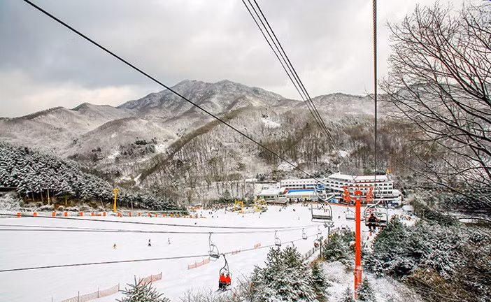 Ngược lại, Star Hill Resort, cách Seoul 30 phút, đem đến trải nghiệm trượt tuyết ban đêm lãng mạn với các đường trượt được chiếu sáng lung linh, mang lại cảm giác hoàn toàn mới lạ cho du khách. Ảnh Dolphin tour