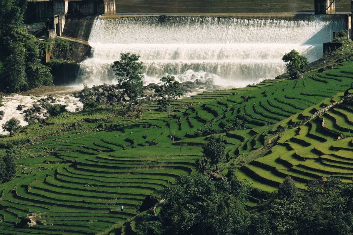 Nếu mùa thu, Y Tý rực rỡ trong sắc vàng óng ả của những thửa ruộng bậc thang chín rộ, thì mùa hè lại mang đến một trải nghiệm hoàn toàn khác biệt với gam màu xanh non mơn mởn, trong lành và bình dị đến lạ. Ảnh Tuyên Parafu