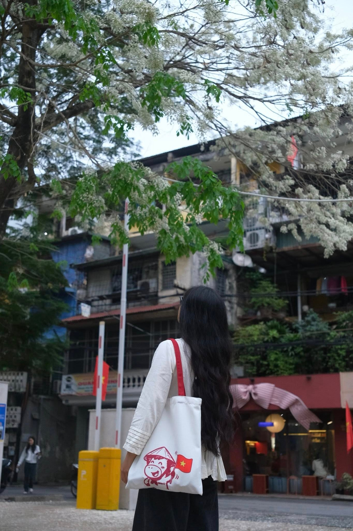 Khoảnh khắc ấy khiến nhiều người ví von như “mưa hoa” một vẻ đẹp thoáng qua nhưng đủ khiến lòng người xao xuyến. Ảnh FB Đỗ Vân Anh