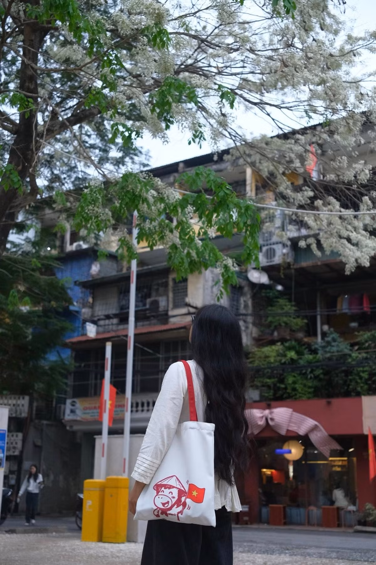 Khoảnh khắc ấy khiến nhiều người ví von như “mưa hoa” một vẻ đẹp thoáng qua nhưng đủ khiến lòng người xao xuyến. Ảnh FB Đỗ Vân Anh